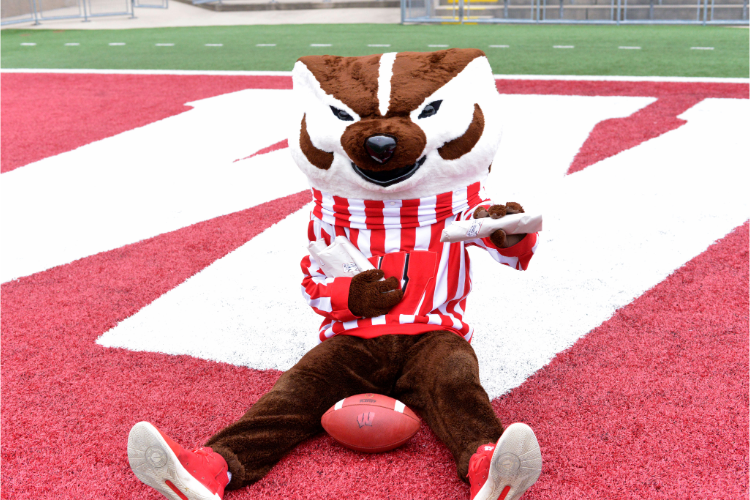 Test Bucky